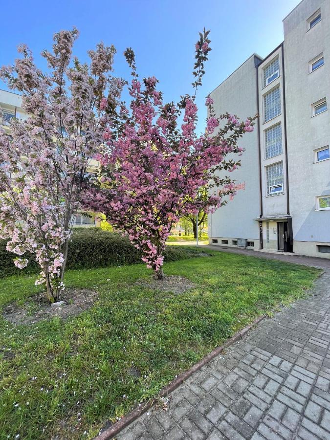 Al-Dom Apartamenty Apartament Zaciszny كولوبرزيغ المظهر الخارجي الصورة